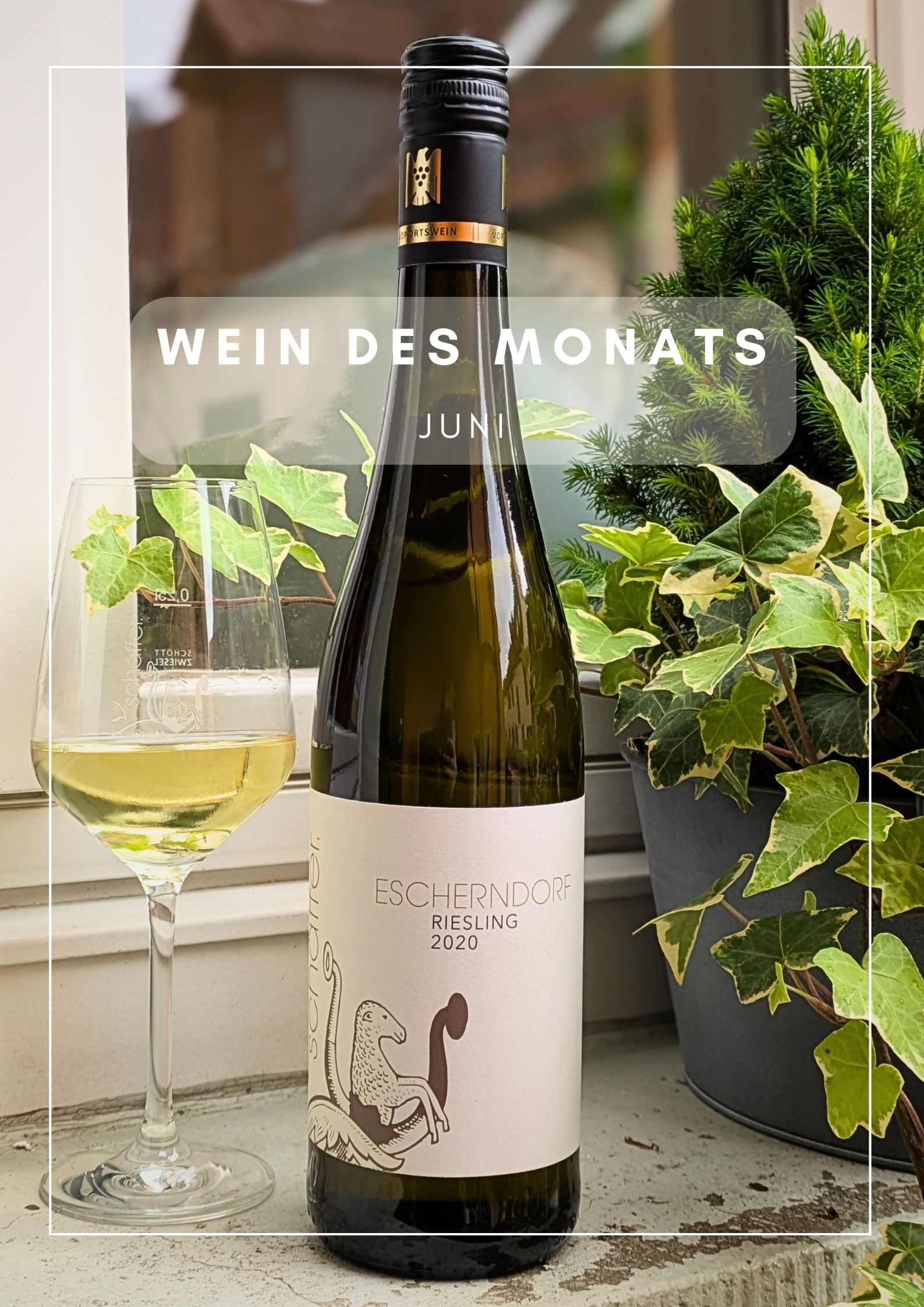 WEIN DES MONATS JUNI | 2020 Escherndorf Riesling VDP.Ortswein trocken