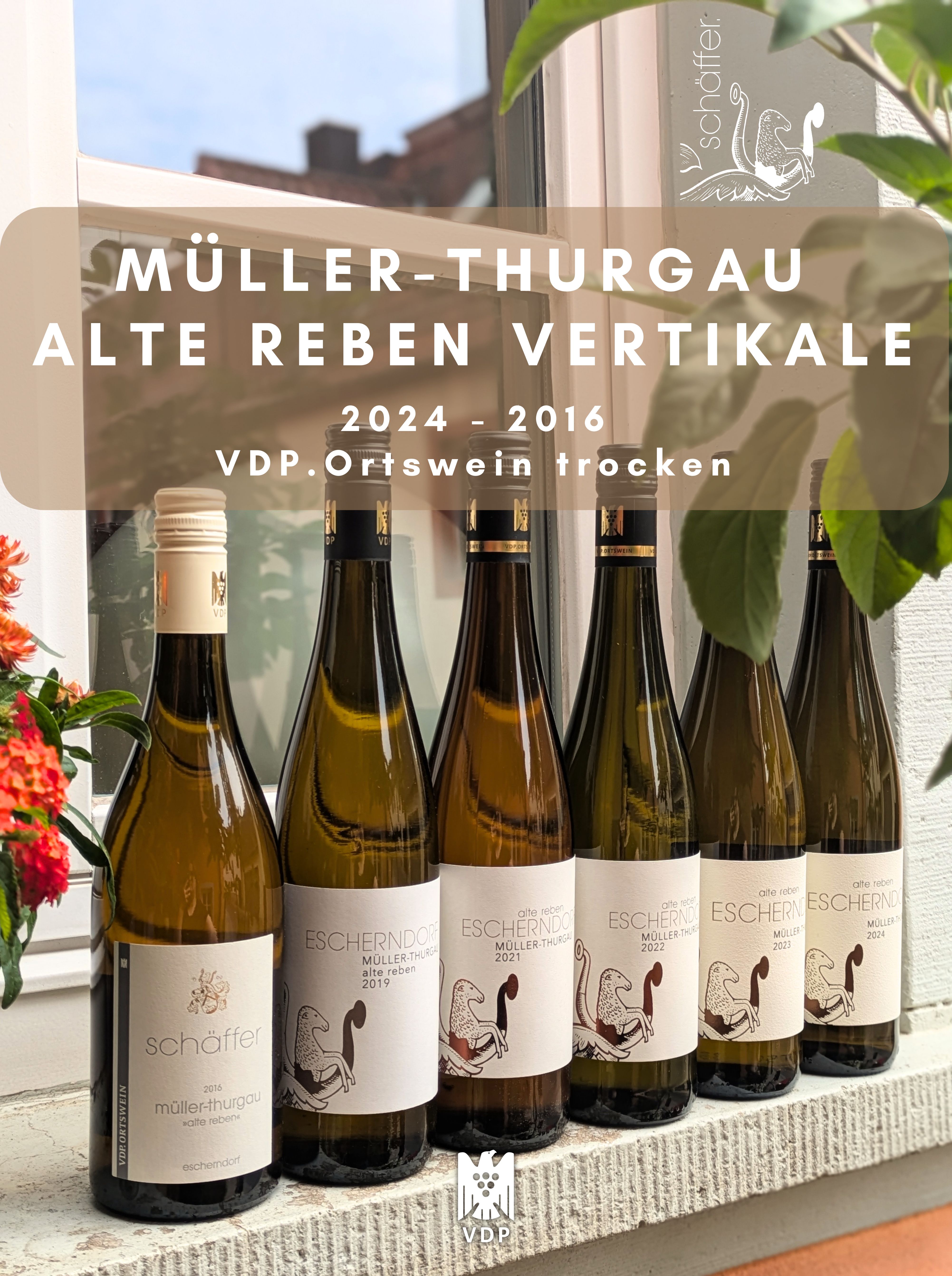 Müller-Thurgau Vertikale 2016 - 2024 | VDP.Ortswein