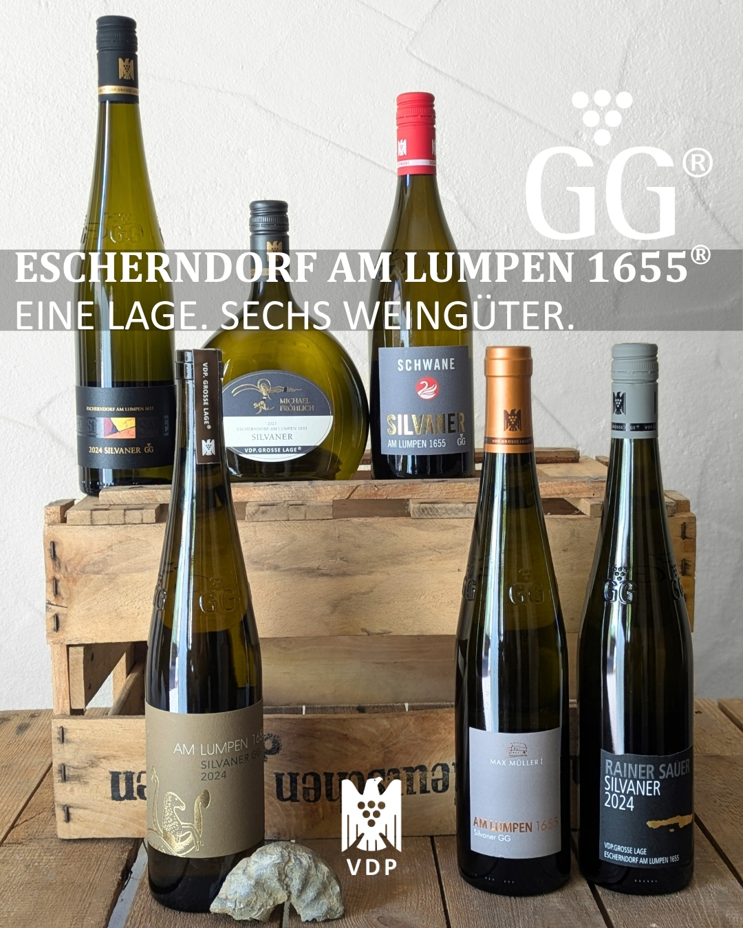 Eine Lage. Sechs Weingüter. Escherndorf AM LUMPEN 1655® | 6 FL