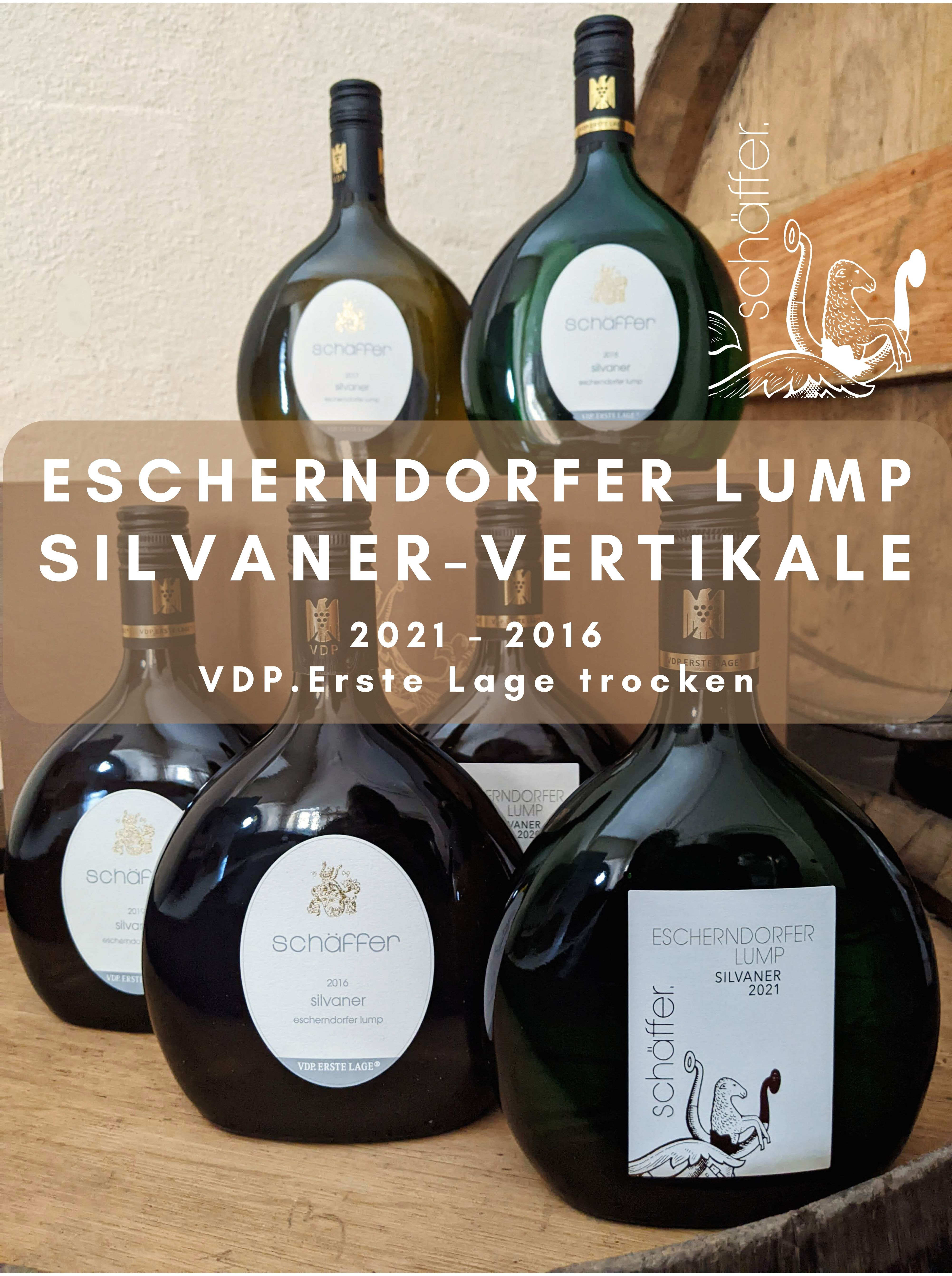 Silvaner Vertikale vom Escherndorfer Lump 2016 - 2021 | VDP.Erste Lage